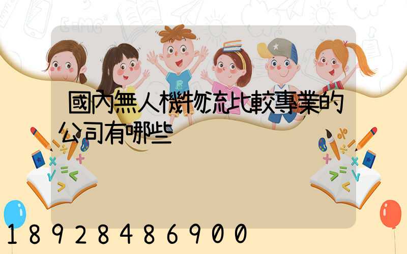 國內無人機物流比較專業的公司有哪些