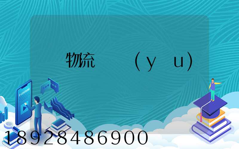 國內物流運輸優(yōu)勢