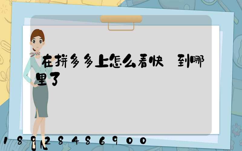 在拼多多上怎么看快遞到哪里了