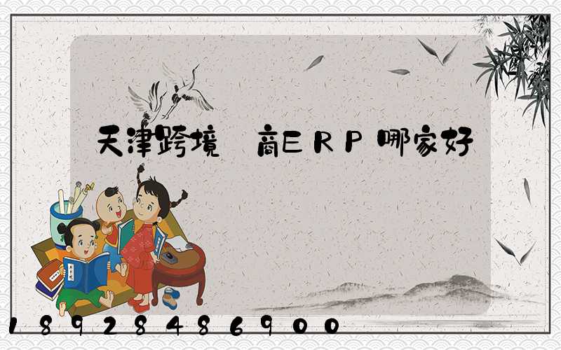 天津跨境電商ERP哪家好