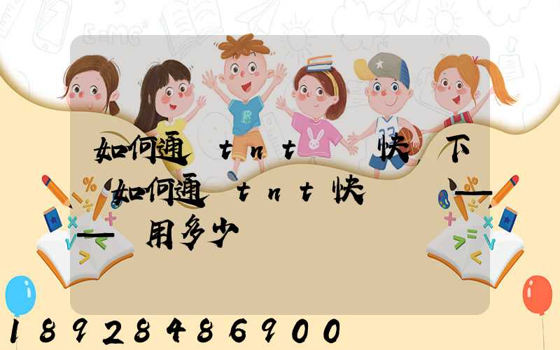 如何通過tnt國際快遞下單如何通過tnt快遞發貨——費用多少