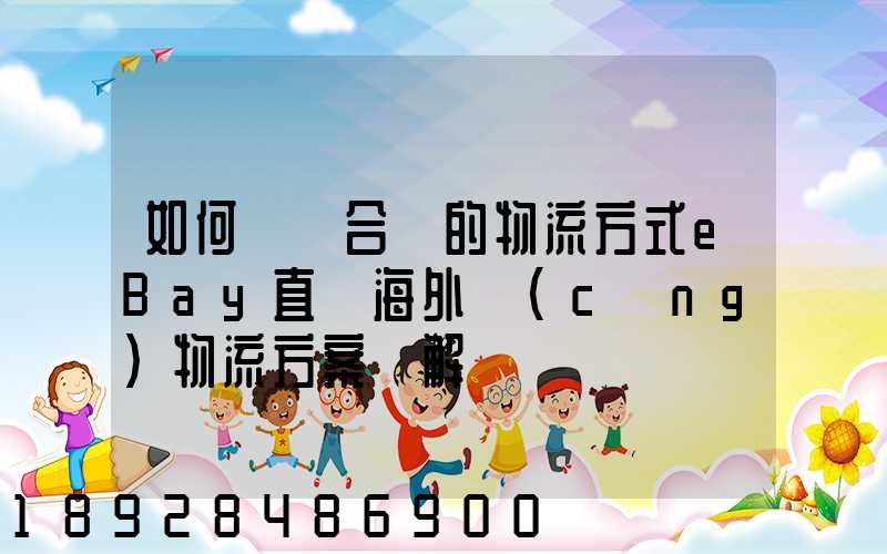 如何選擇合適的物流方式eBay直郵海外倉(cāng)物流方案詳解