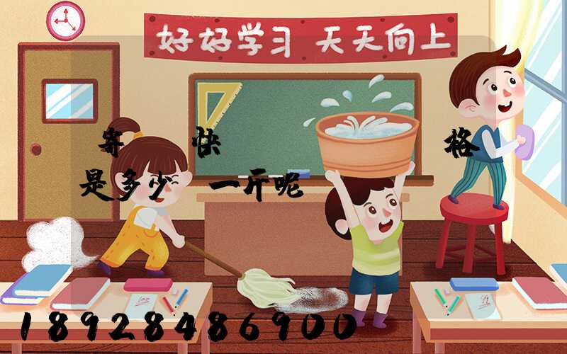 寄國際快遞價(jià)格是多少錢一斤呢