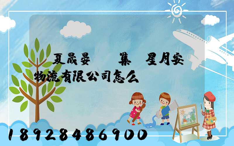 寧夏晟晏實業集團星月安順物流有限公司怎么樣