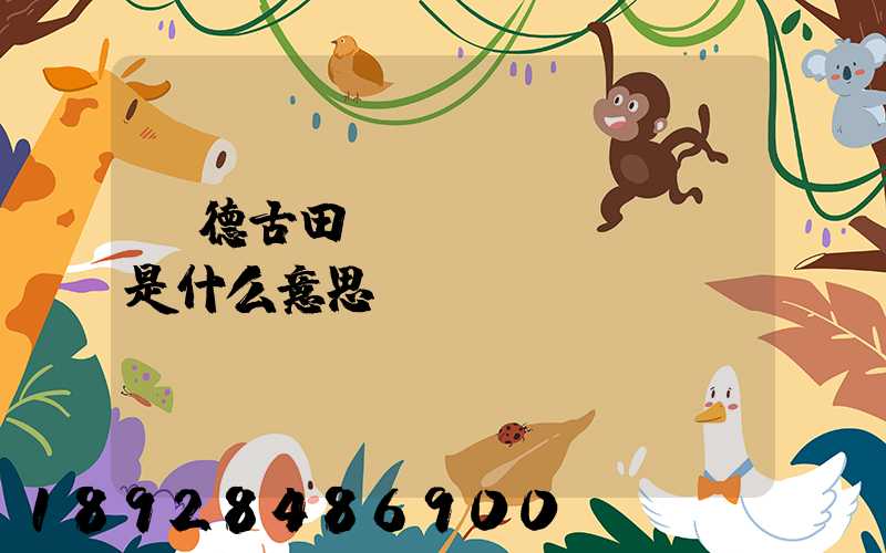 寧德古田網(wǎng)點是什么意思