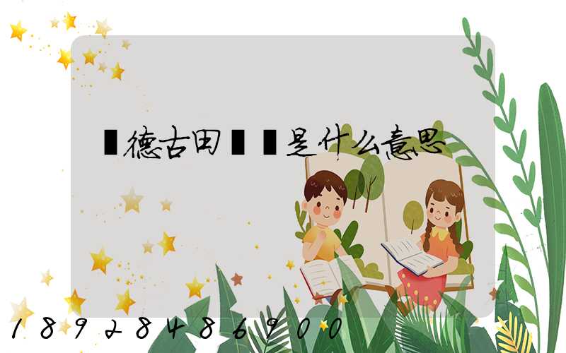 寧德古田網點是什么意思