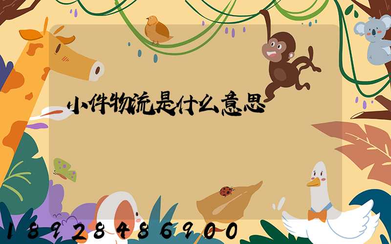 小件物流是什么意思