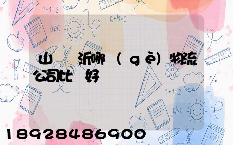 山東臨沂哪個(gè)物流公司比較好