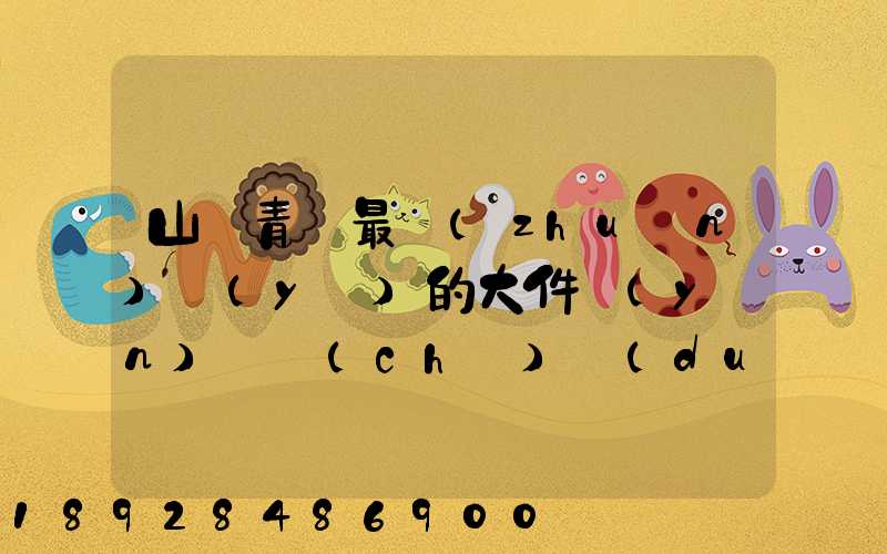 山東青島最專(zhuān)業(yè)的大件運(yùn)輸車(chē)隊(duì)及物流公司