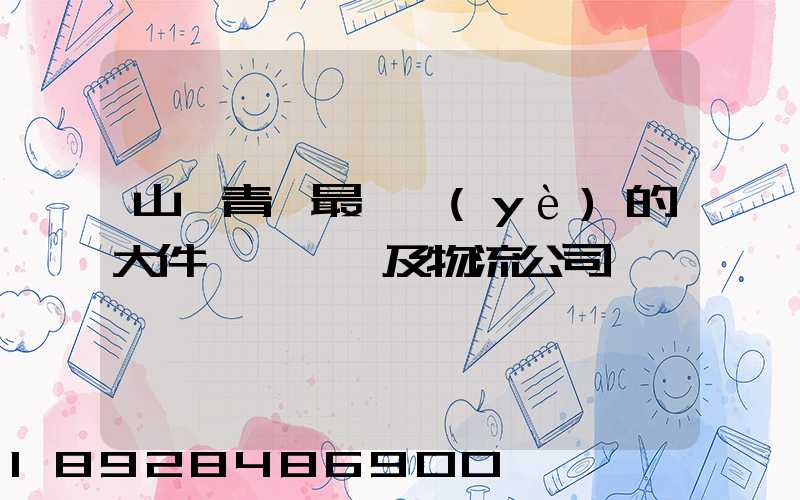 山東青島最專業(yè)的大件運輸車隊及物流公司