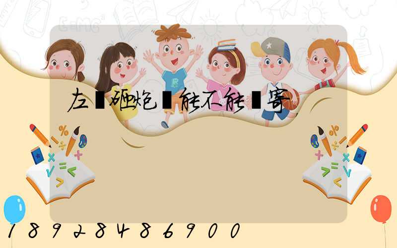 左輪砸炮槍能不能郵寄