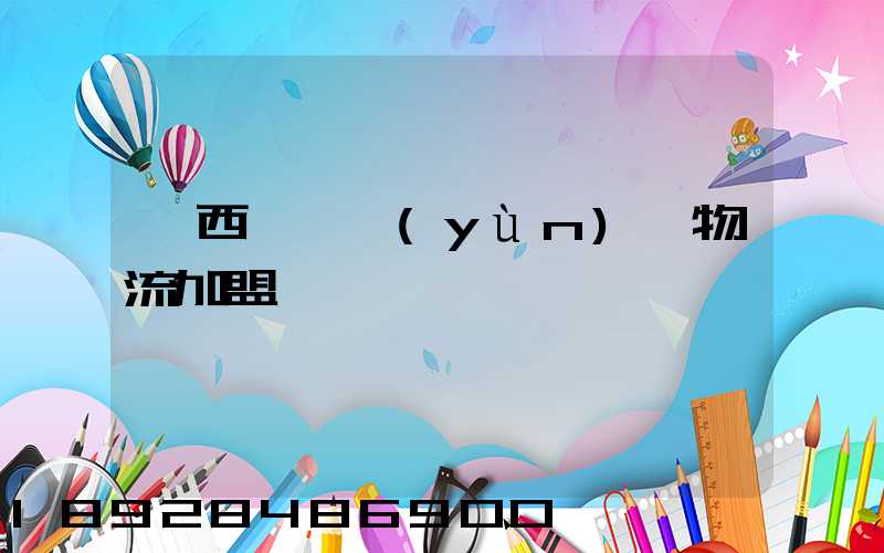 廣西國際運(yùn)輸物流加盟