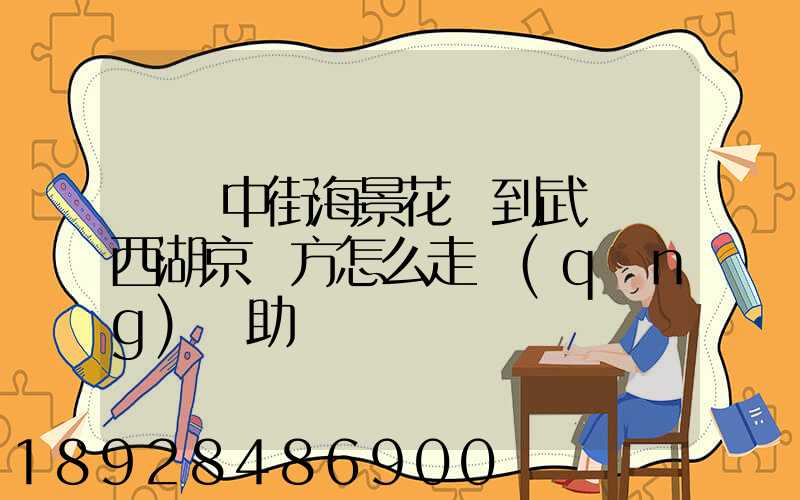 從吳中街海景花園到武漢東西湖京東方怎么走請(qǐng)幫助