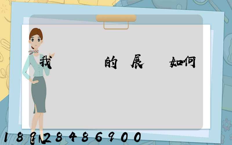 我國貨運業的發展趨勢如何