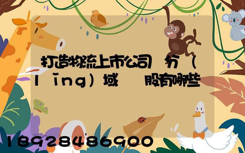 打造物流上市公司細分領(lǐng)域龍頭股有哪些
