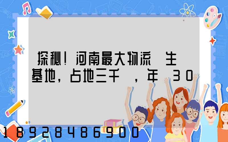 探秘!河南最大物流車生產基地,占地三千畝,年產30萬輛