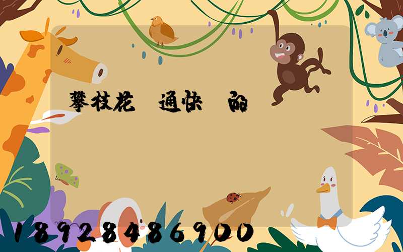 攀枝花圓通快遞的電話號碼