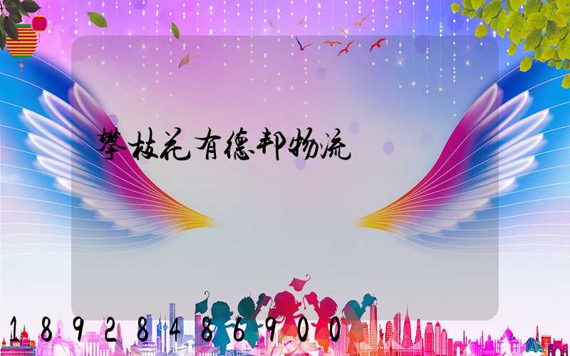 攀枝花有德邦物流嗎