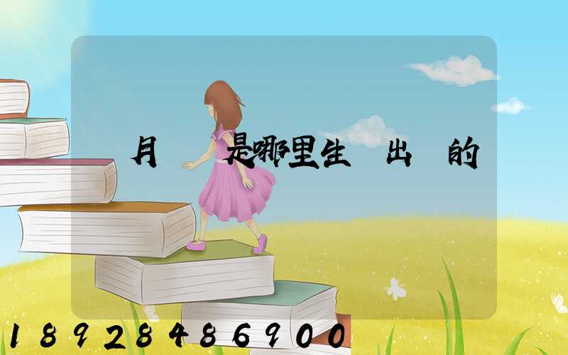 攬月貓糧是哪里生產出來的