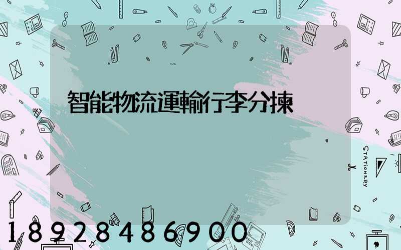 智能物流運輸行李分揀