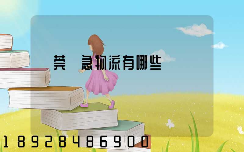 東莞應急物流有哪些