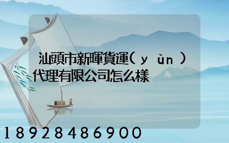 汕頭市新暉貨運(yùn)代理有限公司怎么樣