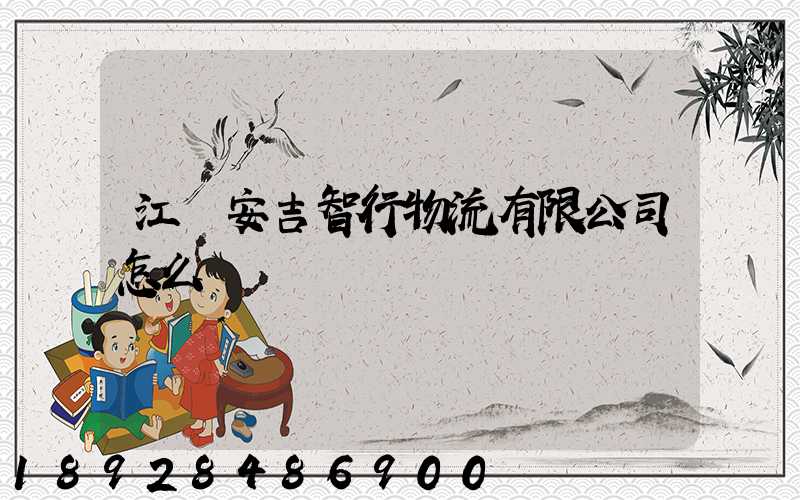 江蘇安吉智行物流有限公司怎么樣
