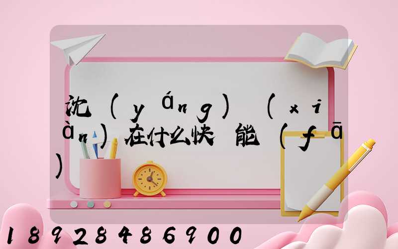 沈陽(yáng)現(xiàn)在什么快遞能發(fā)