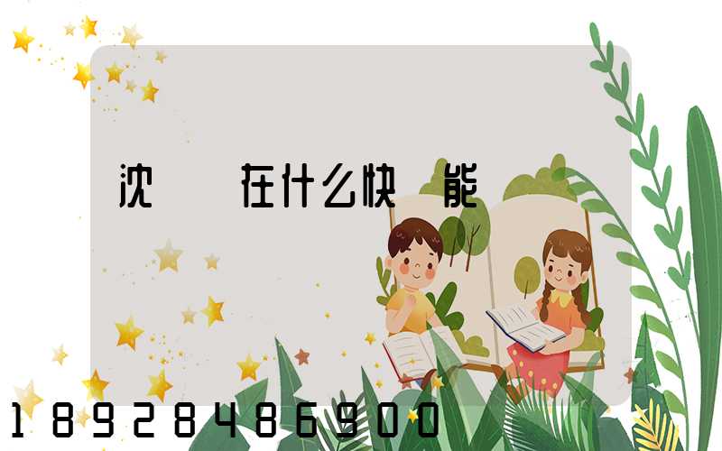 沈陽現在什么快遞能發