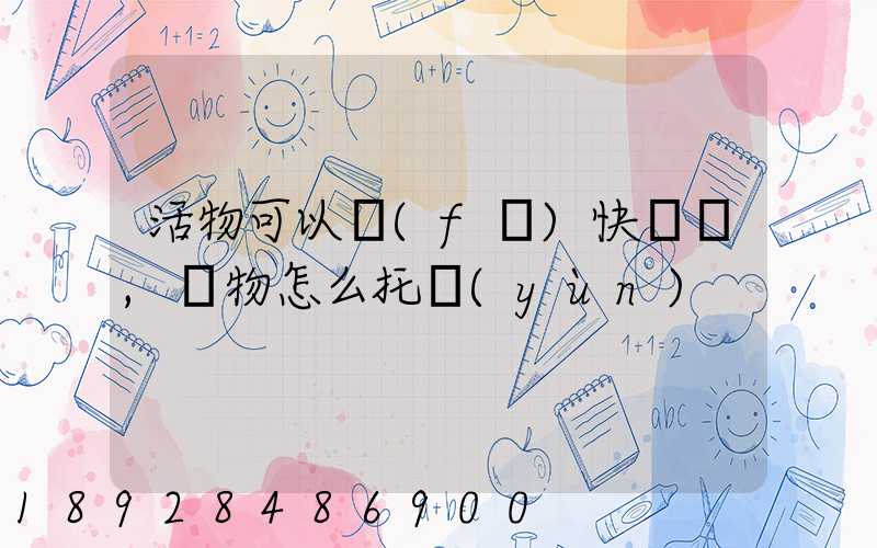 活物可以發(fā)快遞嗎,寵物怎么托運(yùn)