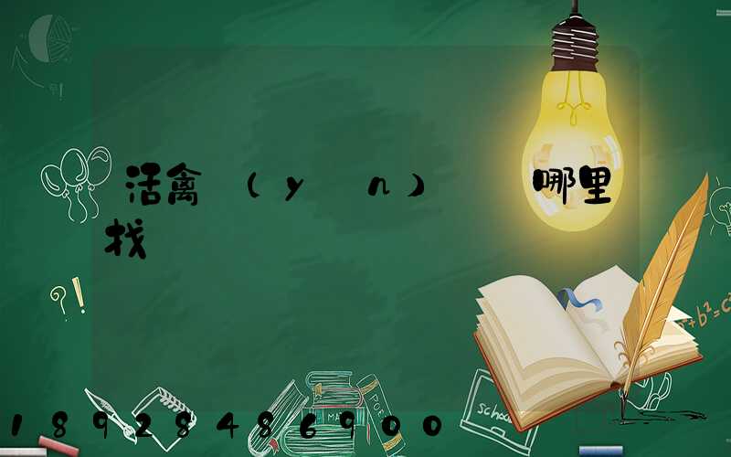 活禽運(yùn)輸車哪里找