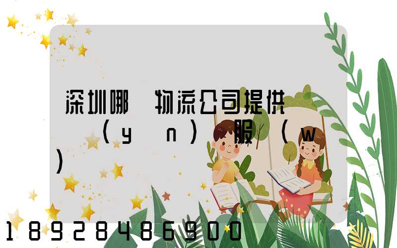 深圳哪個物流公司提供氣墊車運(yùn)輸服務(wù)