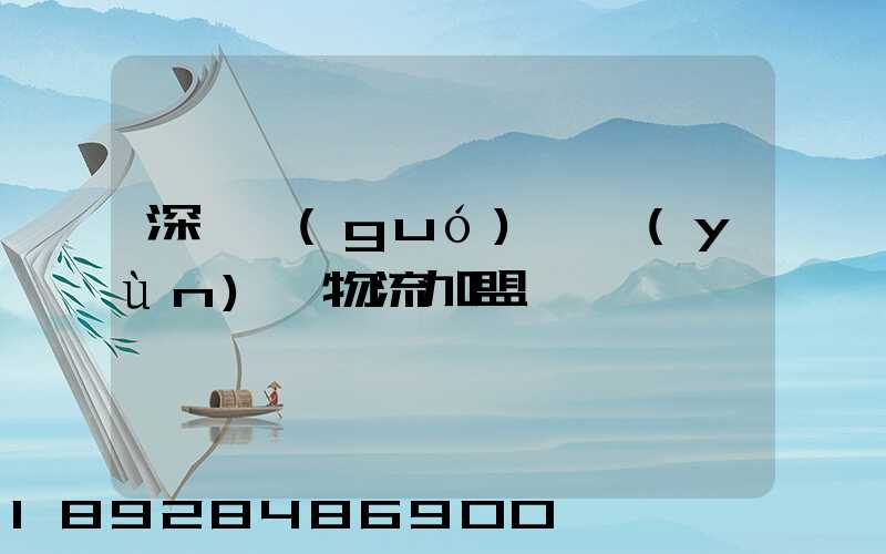 深圳國(guó)際運(yùn)輸物流加盟