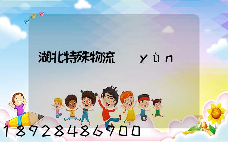 湖北特殊物流運(yùn)輸
