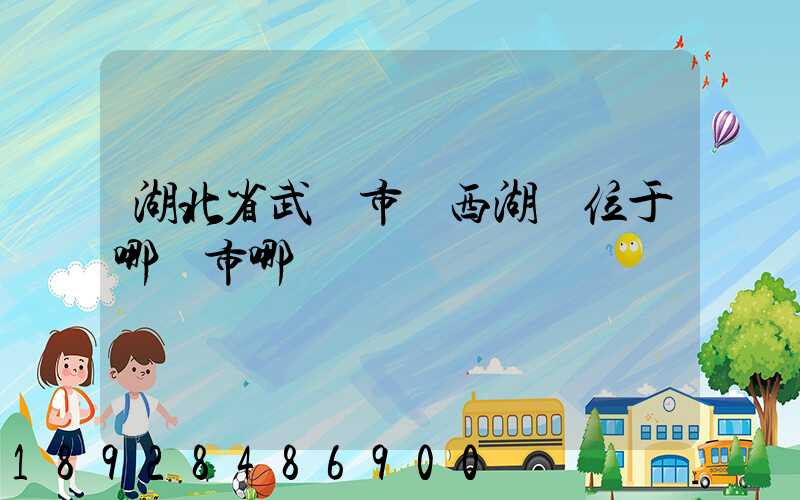 湖北省武漢市東西湖區位于哪個市哪個區