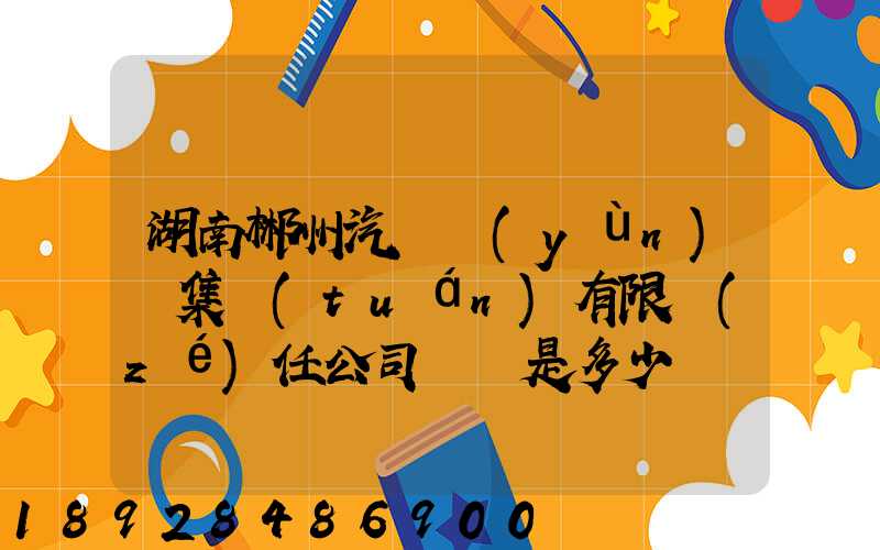 湖南郴州汽車運(yùn)輸集團(tuán)有限責(zé)任公司電話是多少