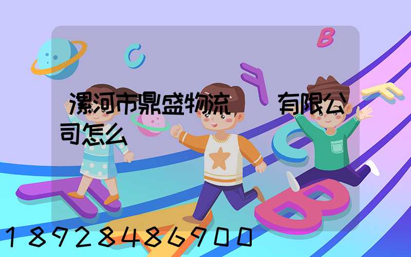 漯河市鼎盛物流運輸有限公司怎么樣