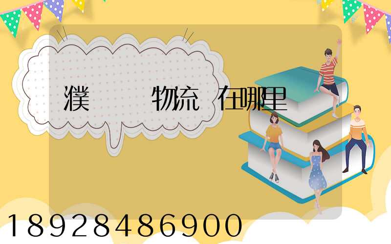 濮陽順豐物流園在哪里