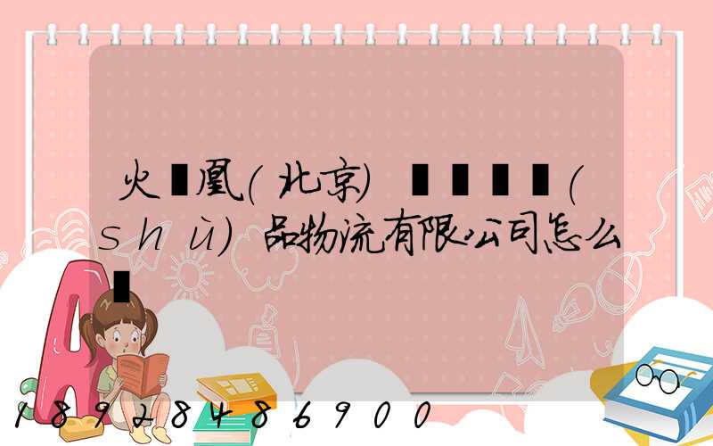 火鳳凰(北京)國際藝術(shù)品物流有限公司怎么樣