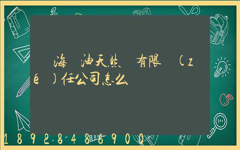 烏海華油天然氣有限責(zé)任公司怎么樣