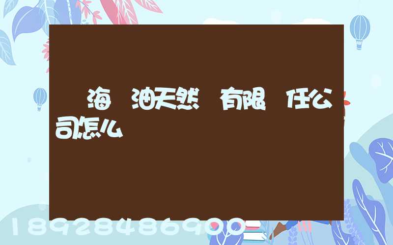 烏海華油天然氣有限責任公司怎么樣