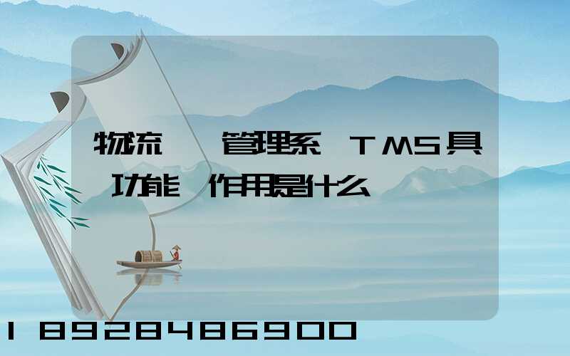 物流運輸管理系統TMS具體功能與作用是什么