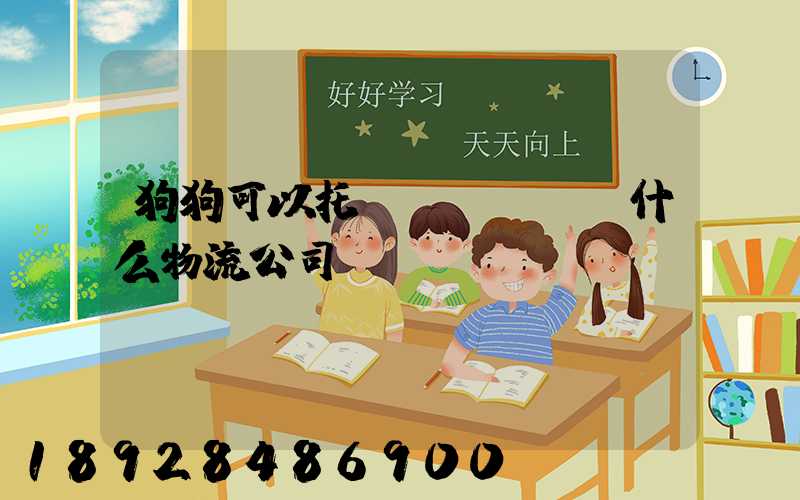 狗狗可以托運(yùn)什么物流公司