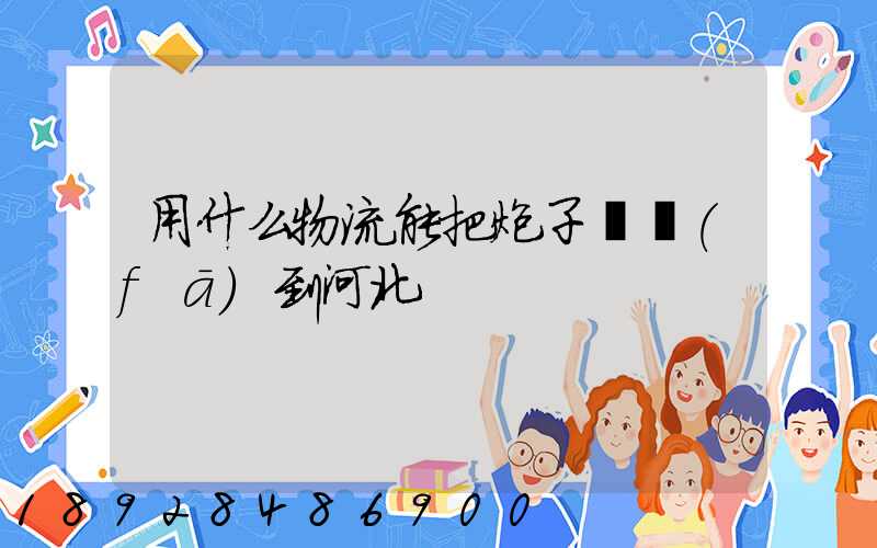用什么物流能把炮子槍發(fā)到河北