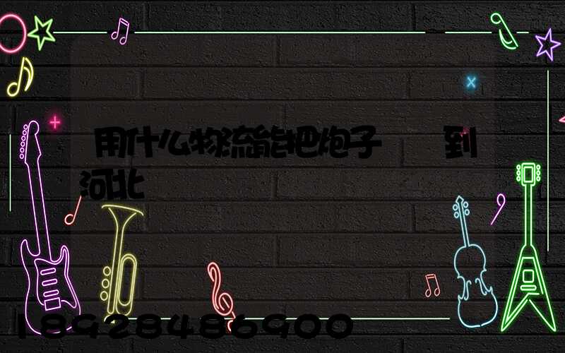 用什么物流能把炮子槍發到河北