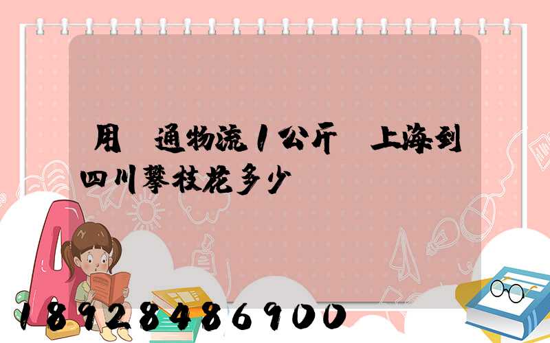 用圓通物流1公斤從上海到四川攀枝花多少錢