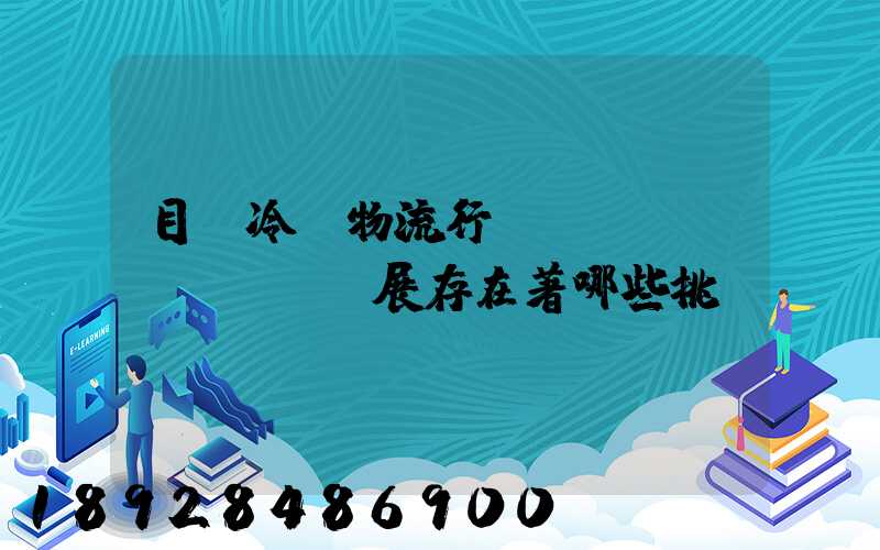 目前冷鏈物流行業(yè)發(fā)展存在著哪些挑戰(zhàn)