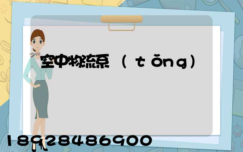 空中物流系統(tǒng)