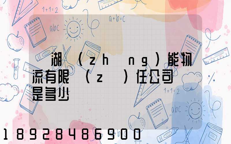 蕪湖長(zhǎng)能物流有限責(zé)任公司電話是多少