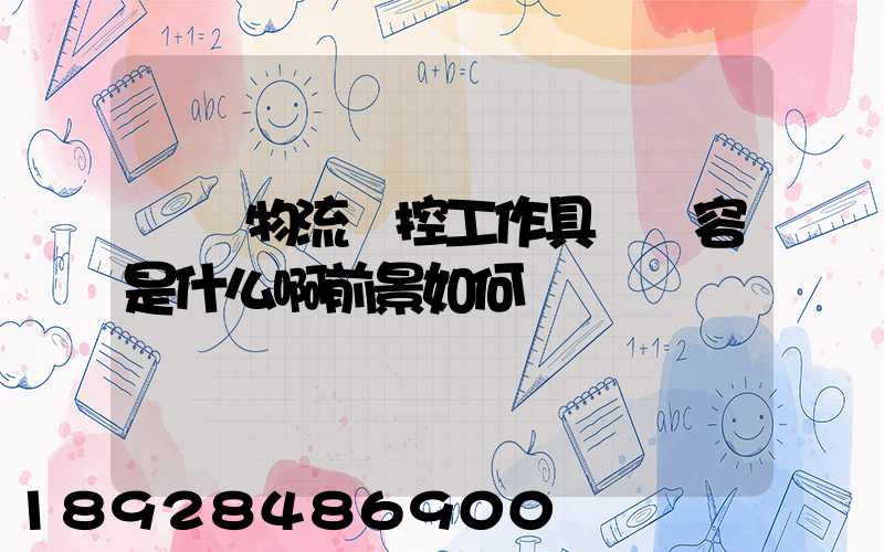 請問物流監控工作具體內容是什么啊前景如何